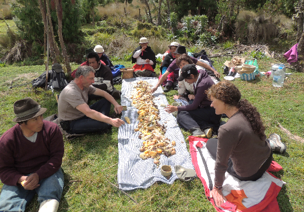 Paysans quechua - Pampa mesa - TDS Voyage - Tourisme équitable et solidaire