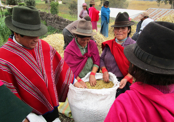 Femmes quechuas - sac de grains - TDS Voyage - Tourisme équitable et solidaire
